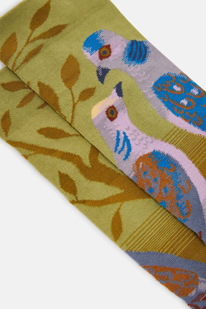 Tourterelle Socks