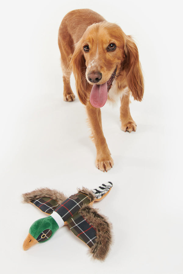 Pheasant Dog Toy