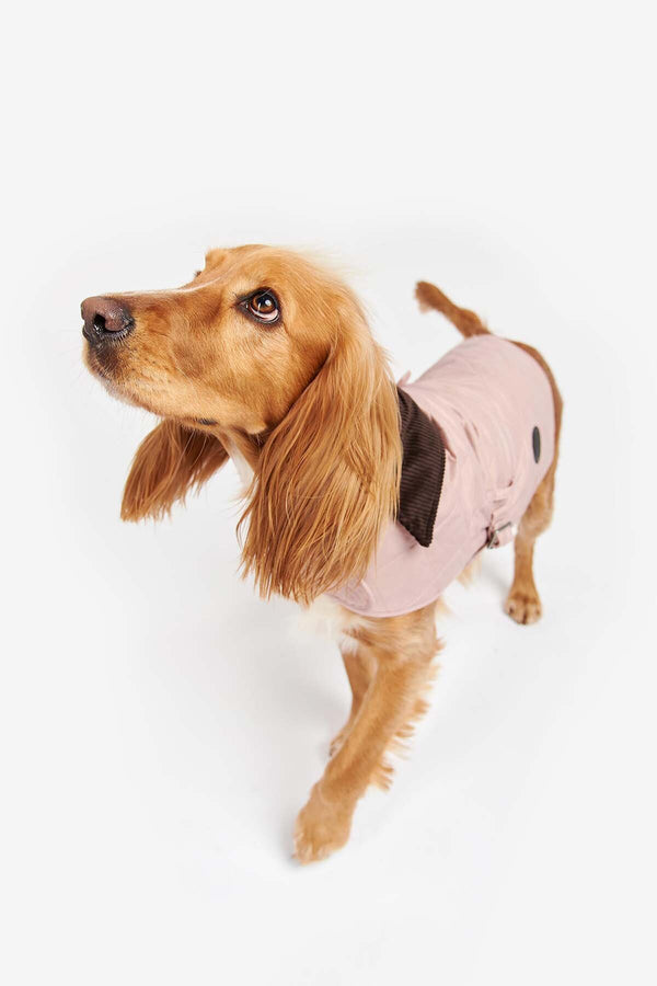 Quilted Dog Coat