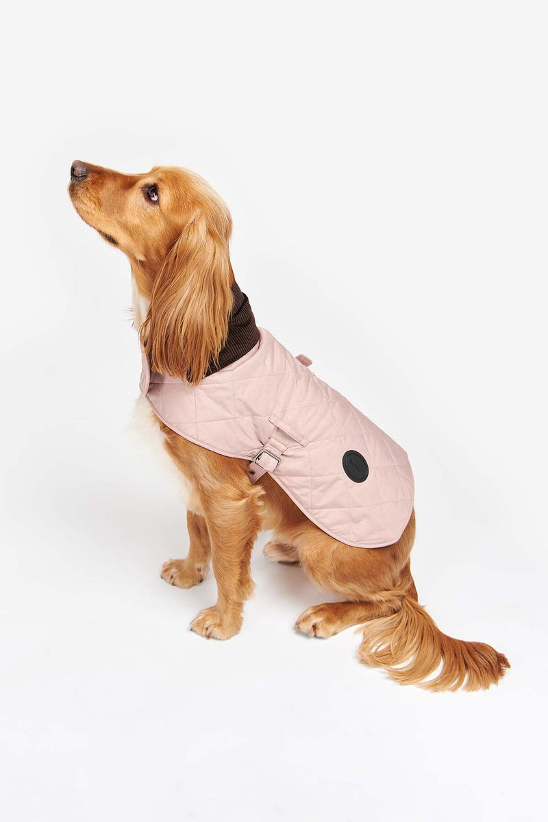 Quilted Dog Coat