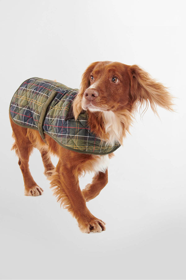 Tartan Dog Coat
