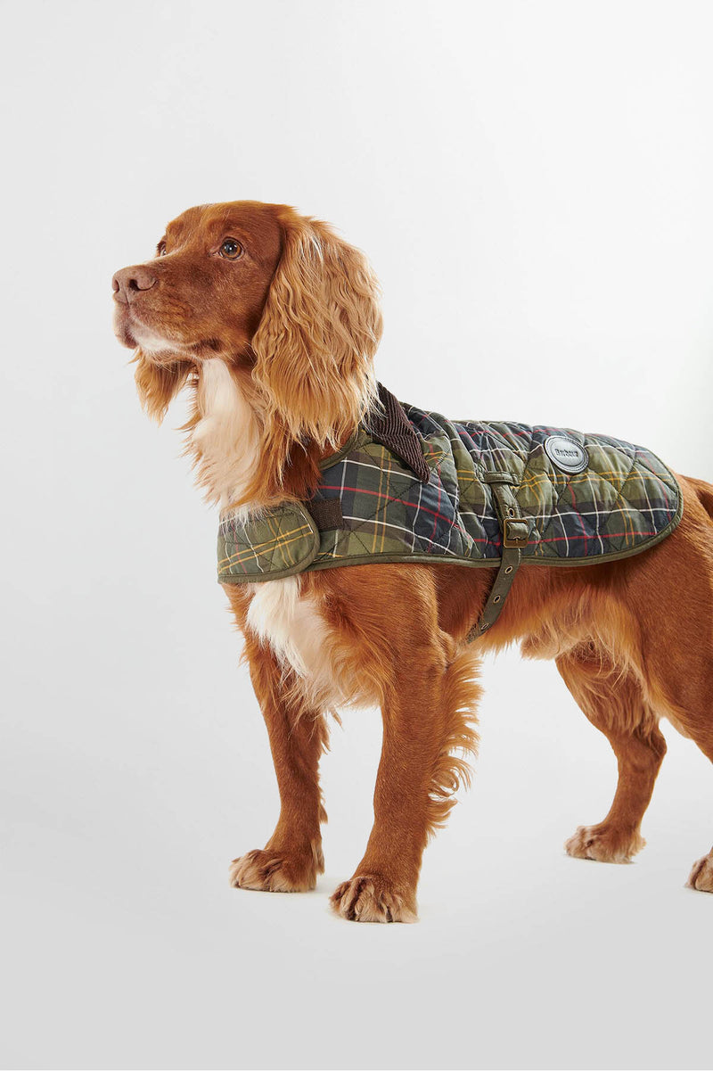 Tartan Dog Coat