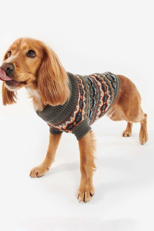 Case Fairisle Dog Jumper