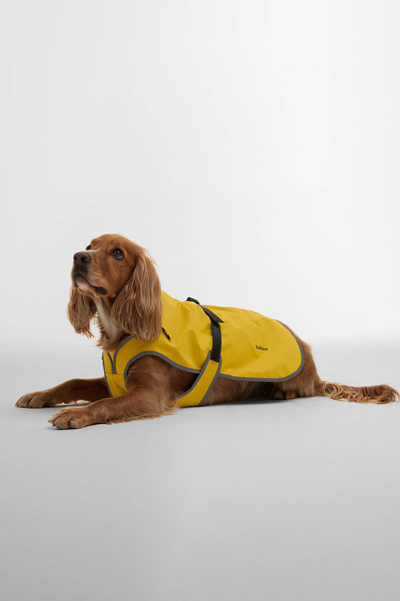 Evie Waterproof Dog Coat