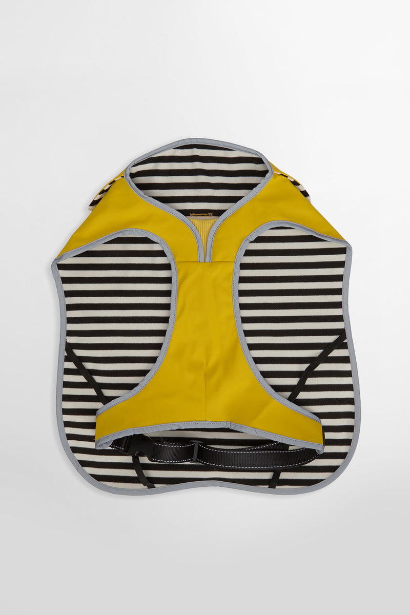 Evie Waterproof Dog Coat