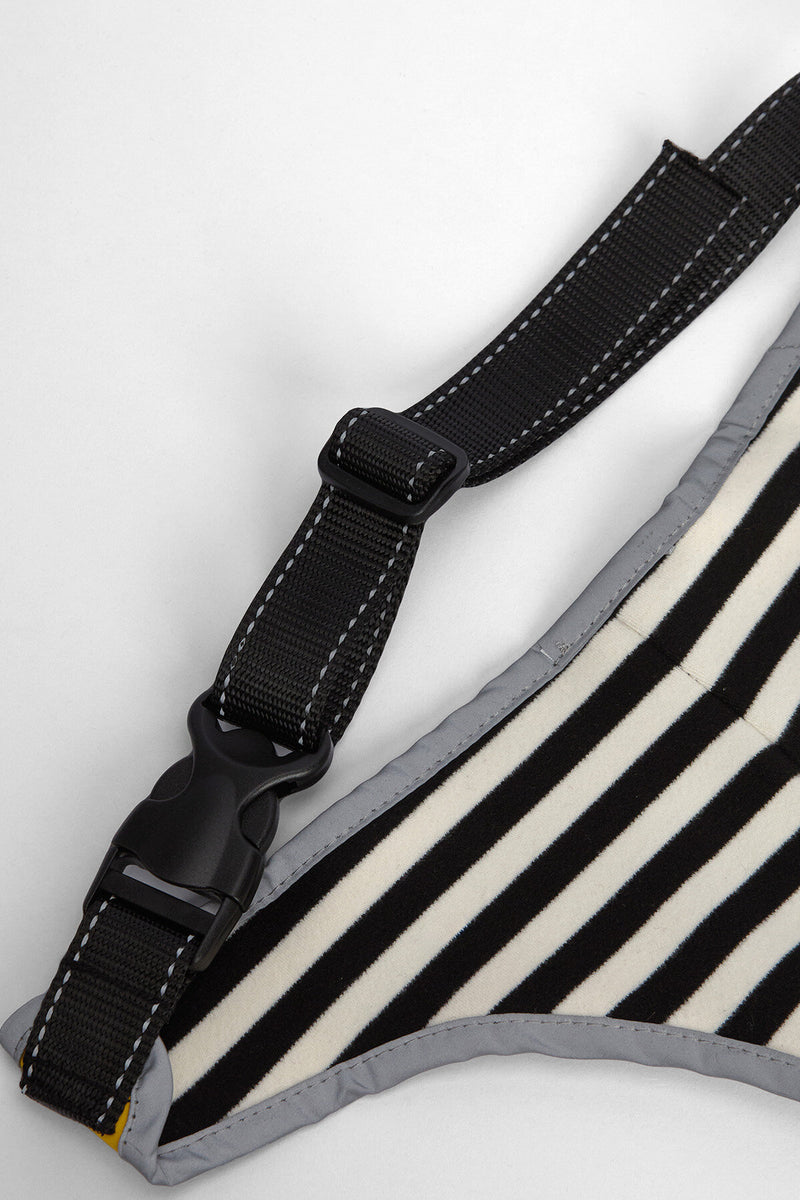 Evie Waterproof Dog Coat