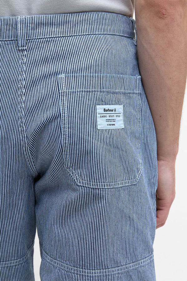 Tindale Striped Shorts