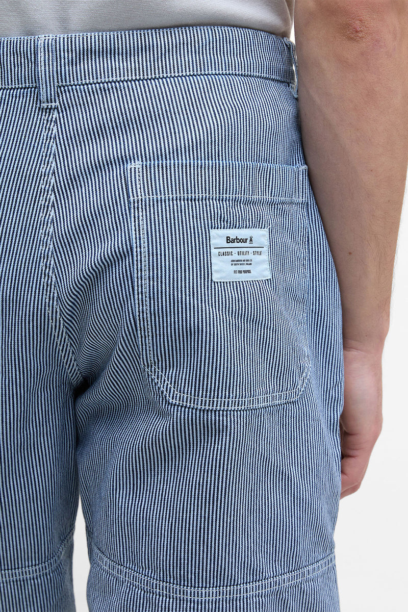 Tindale Striped Shorts