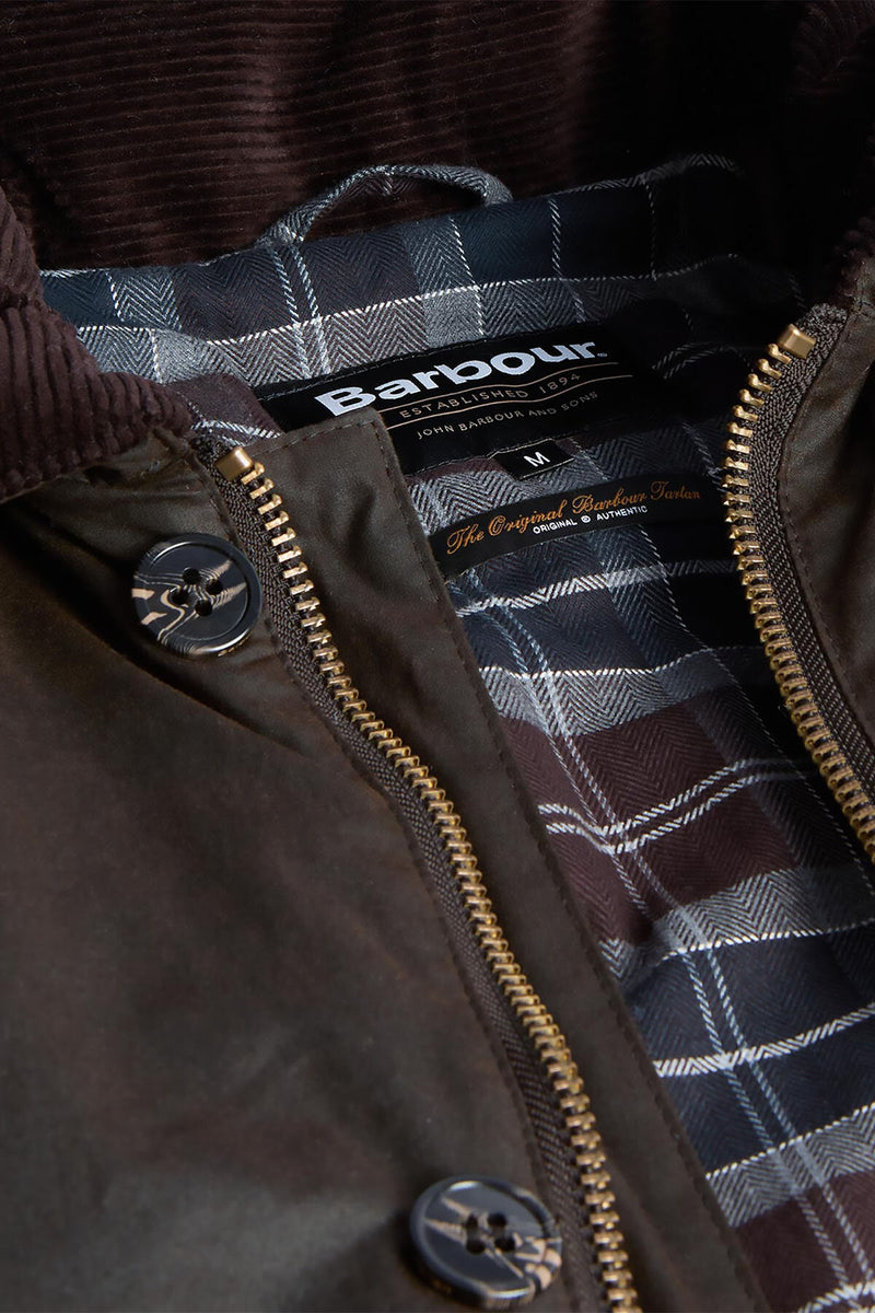 Trench cerato Beaudale