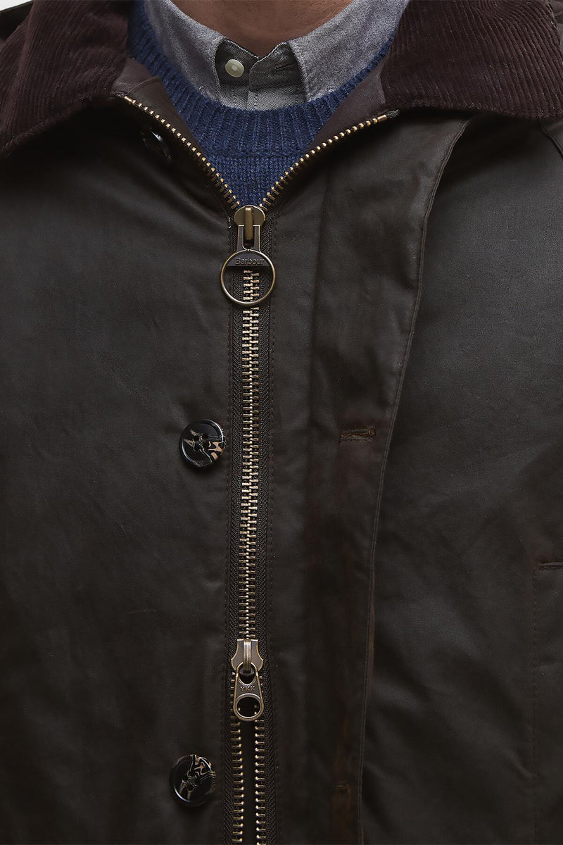 Trench cerato Beaudale