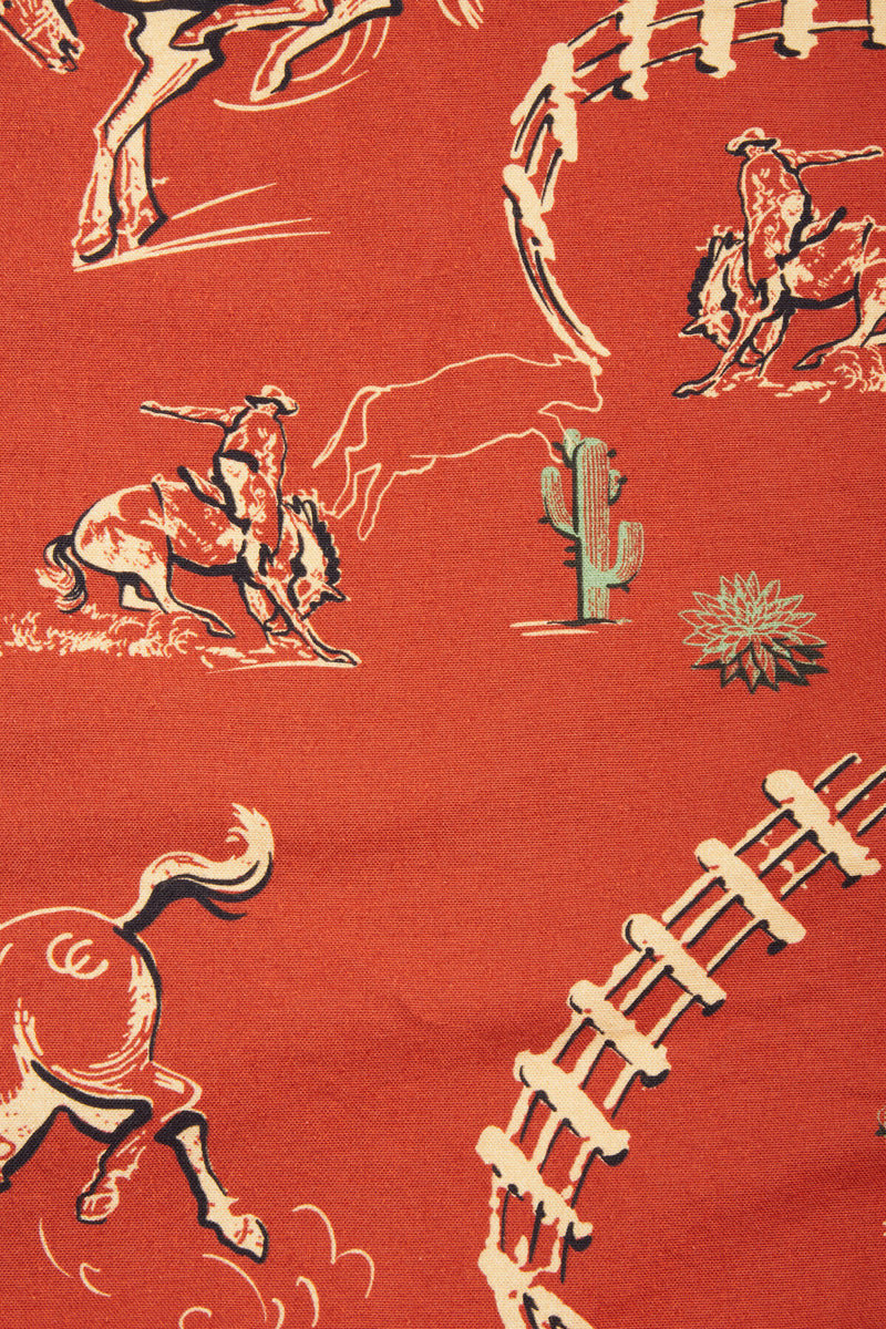 Camicia Texana maniche lunghe