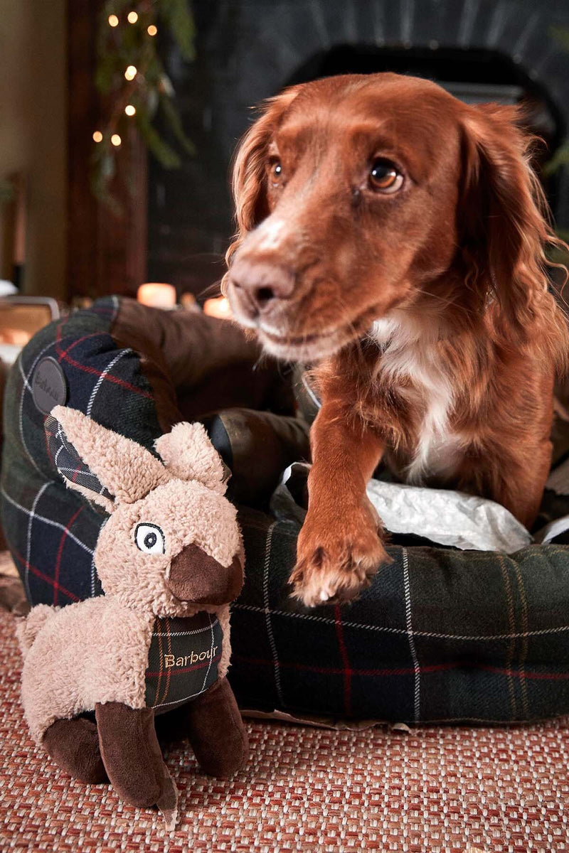 Coniglio giocattolo per cani