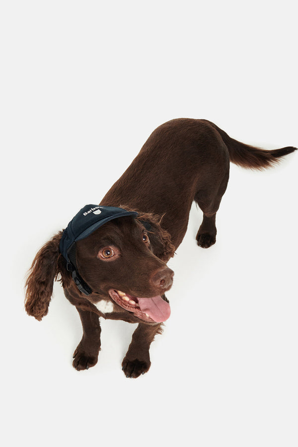 Cappello Barbour Dog Cascade