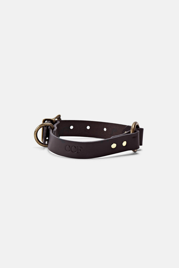 BRIDLE LEATHER DOG COLLAR